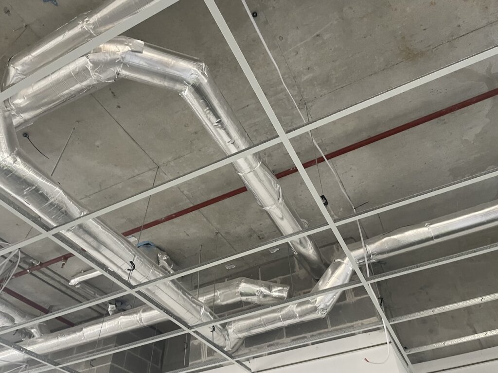 greenlag-5